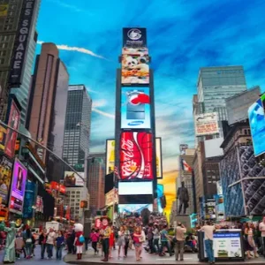 times quare albatroz limo